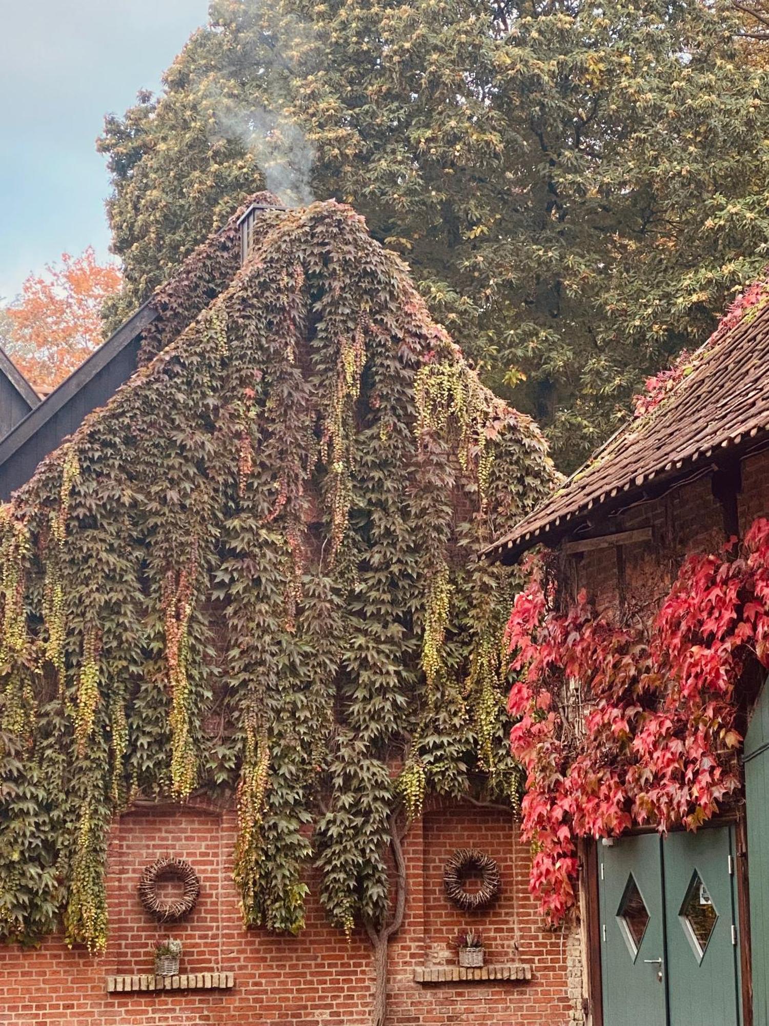 Landhaus Eggert Munique Exterior foto